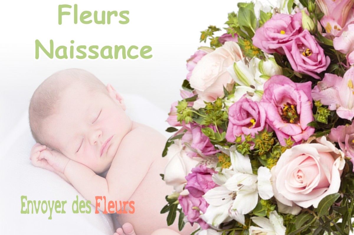 lIVRAISON FLEURS NAISSANCE à VALDEROURE